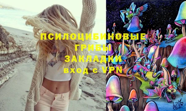 apvp Новокубанск