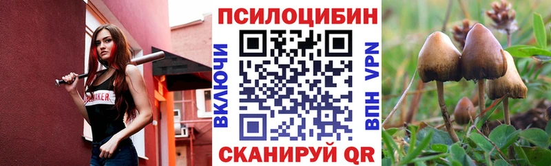 Купить  Железногорск  Галлюциногенные грибы Psilocybine cubensis 